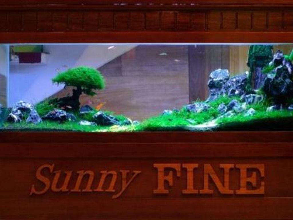 Sunny Fine Guesthouse Хюэ Экстерьер фото